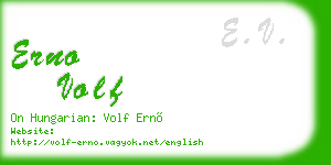 erno volf business card